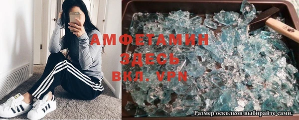 ПСИЛОЦИБИНОВЫЕ ГРИБЫ Алексин