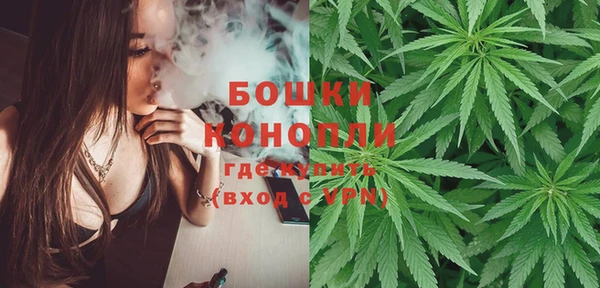дмт Зеленодольск