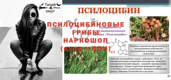ПСИЛОЦИБИНОВЫЕ ГРИБЫ Алексин