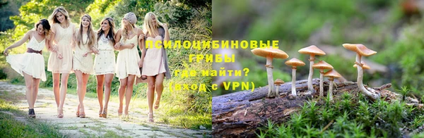 ПСИЛОЦИБИНОВЫЕ ГРИБЫ Алексин