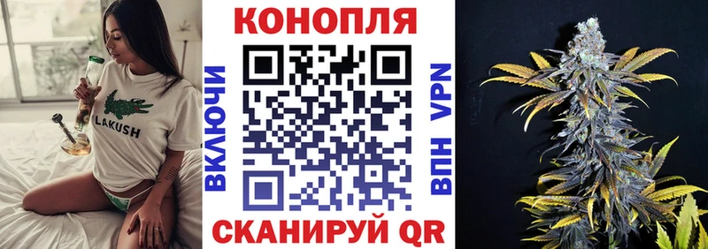 где продают наркотики  Сосновый Бор  Бошки Шишки конопля 